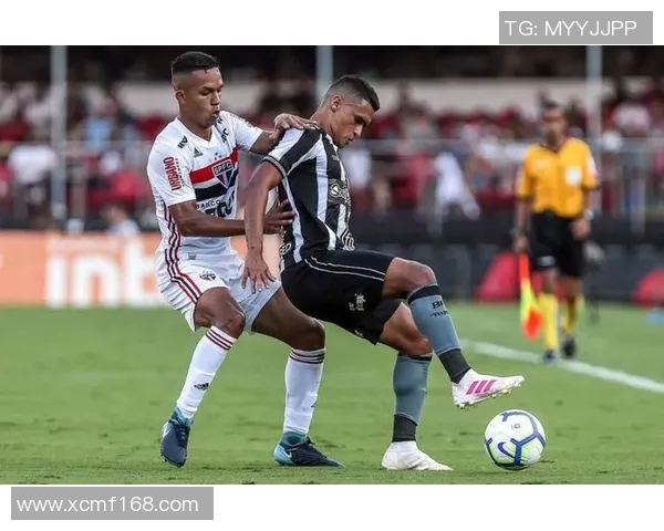 博塔弗戈与弗拉门戈激情对决谁将赢得这场巴西足球盛宴