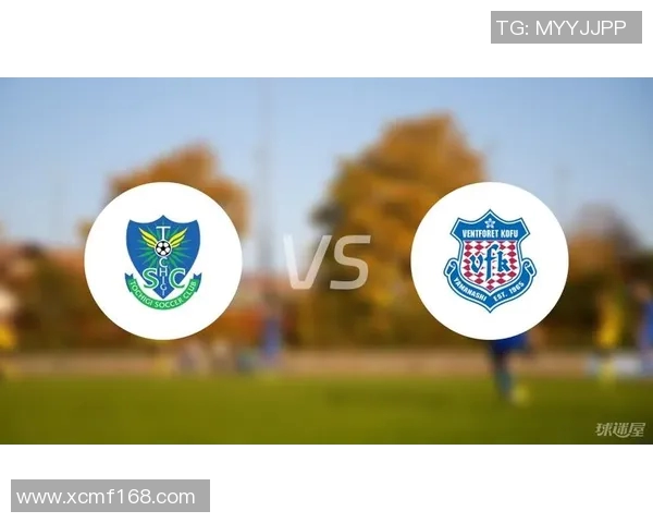 甲府vs枥木sC